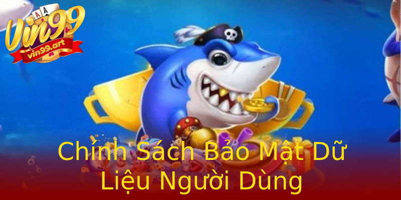 Chính Sách Bảo Mật Dữ Liệu Người Dùng Chính Sách Bảo Mật Dữ Liệu Người Dùng